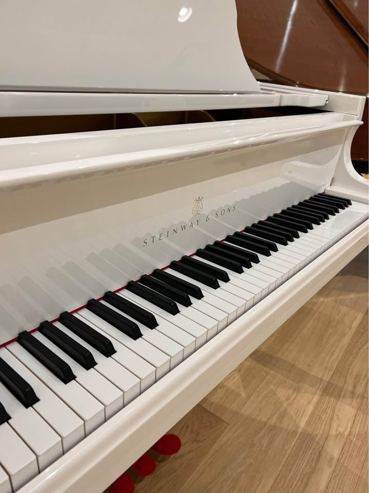 Steinway Spirio White with Macassar Ebony Duet Model B
