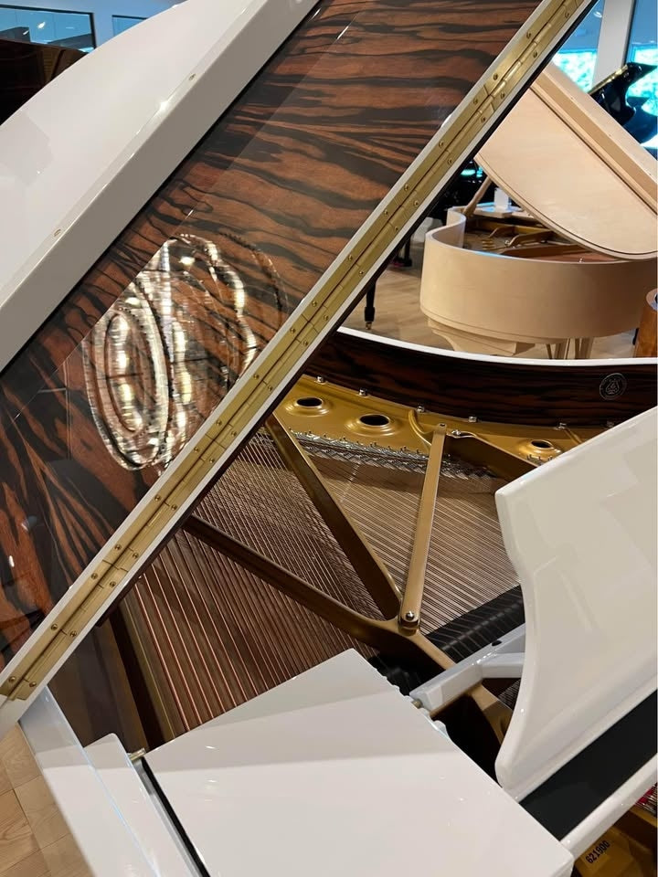 Steinway Spirio White with Macassar Ebony Duet Model B