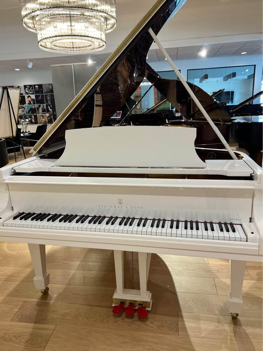 Steinway Spirio White with Macassar Ebony Duet Model B